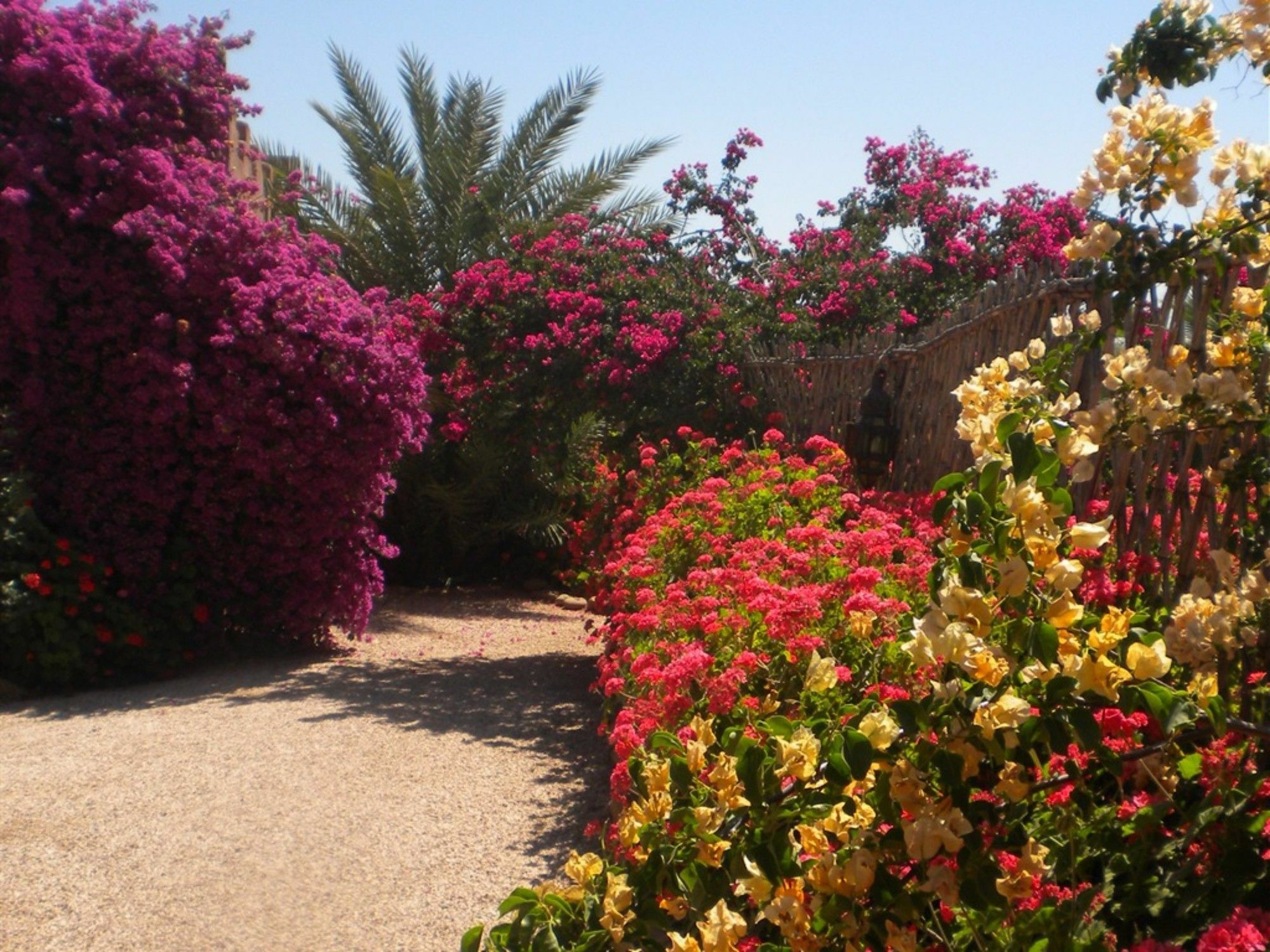 Riad Souiguia Hotel Ouled Jelal Eksteriør billede